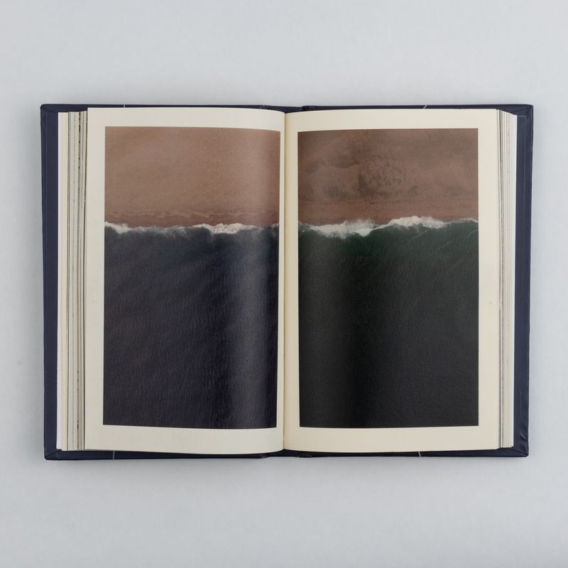 © Gustavo Balbela - Image from the The Log from the Sea of Cortez (Revisited) photography project