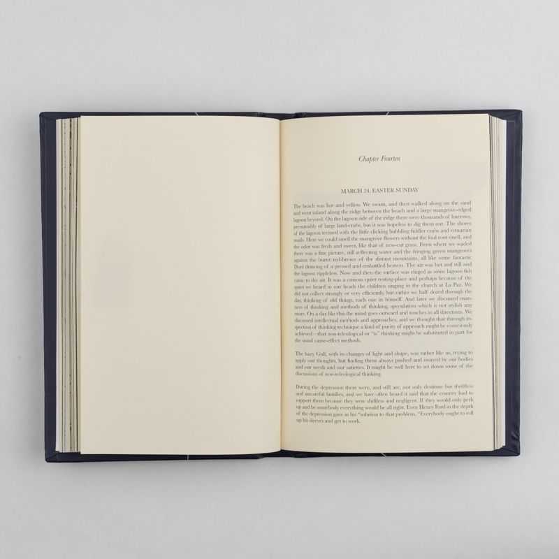 © Gustavo Balbela - Image from the The Log from the Sea of Cortez (Revisited) photography project