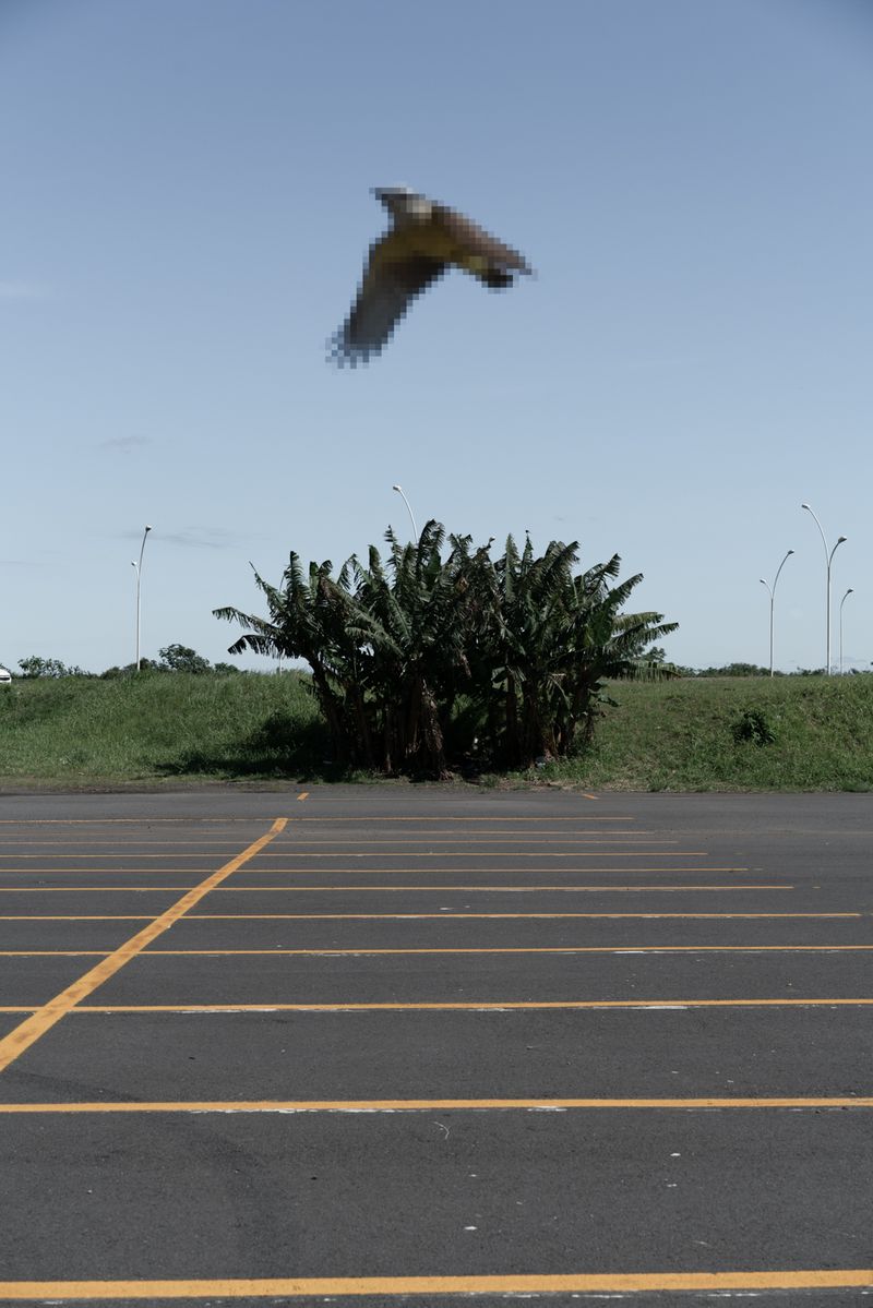 © Gustavo Balbela - Image from the Letters to Ultramarine photography project