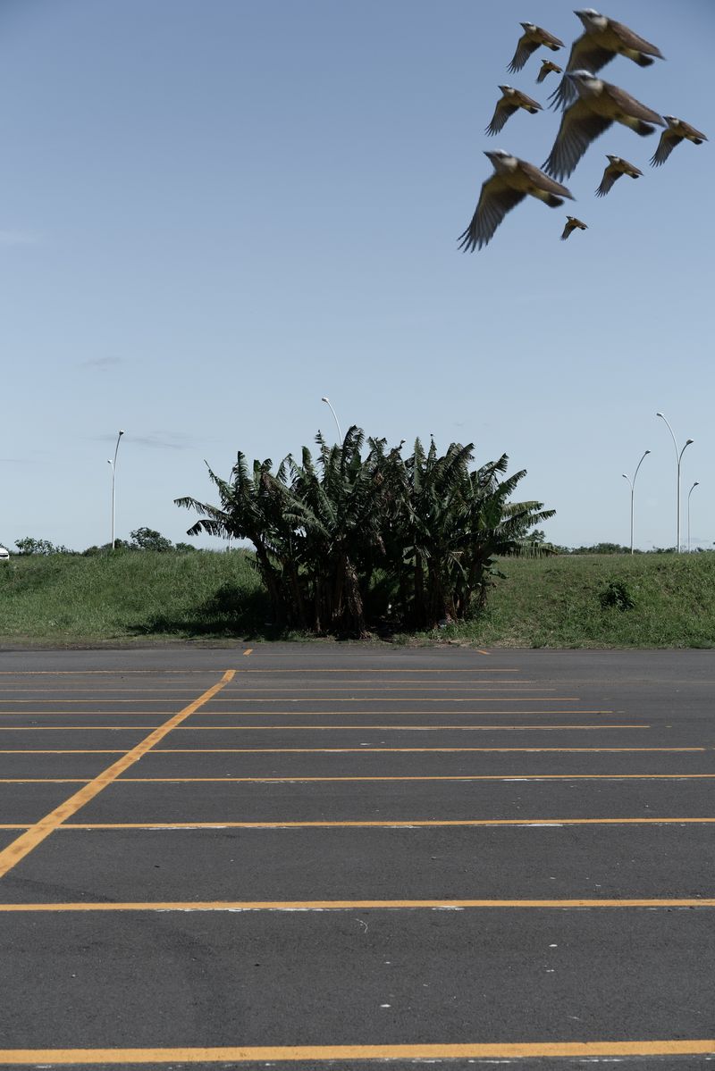 © Gustavo Balbela - Image from the Letters to Ultramarine photography project