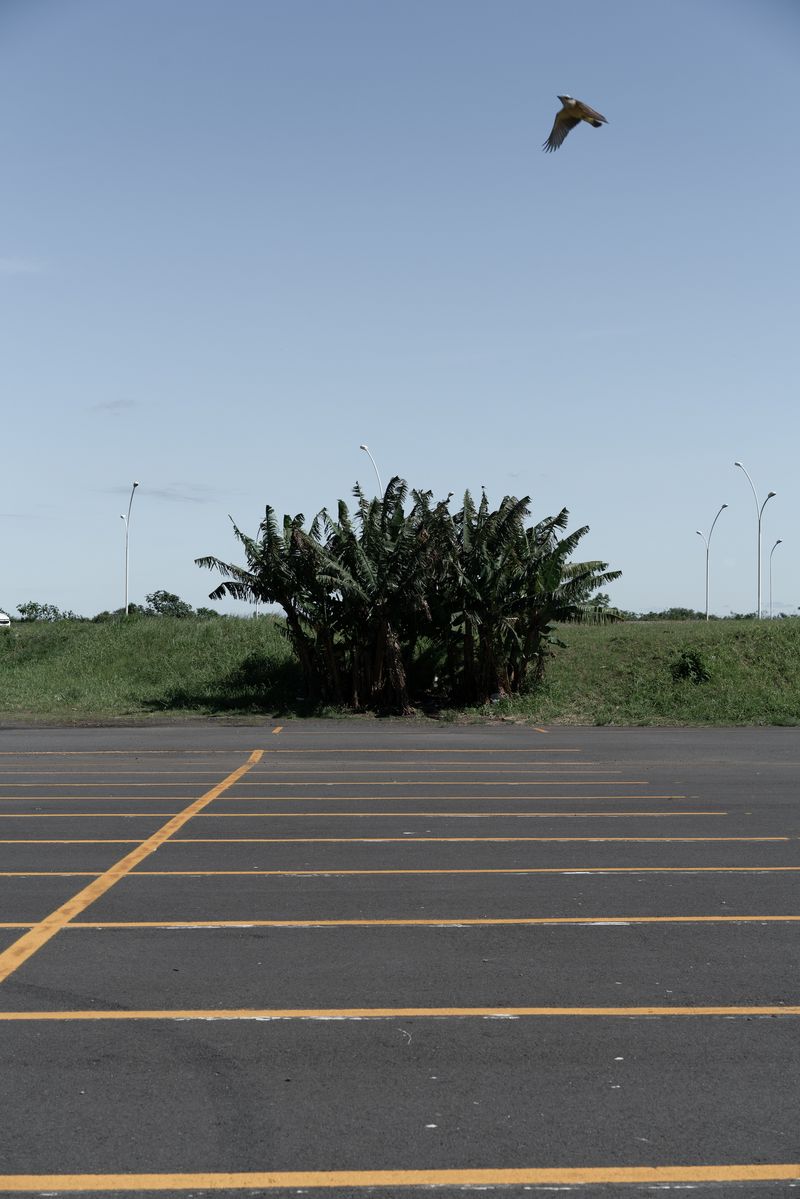 © Gustavo Balbela - Image from the Letters to Ultramarine photography project