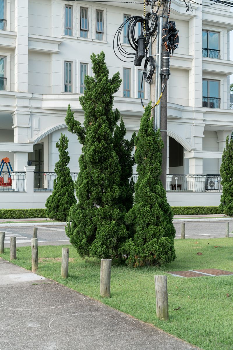 © Gustavo Balbela - Image from the Letters to Ultramarine photography project