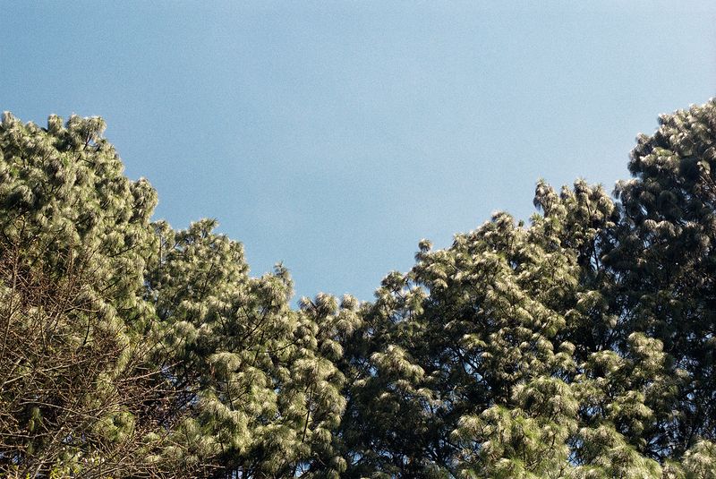 © Ana Oliveira Rovati - Image from the Offline photography project