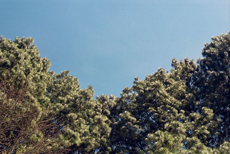 © Ana Oliveira Rovati - Image from the Offline photography project