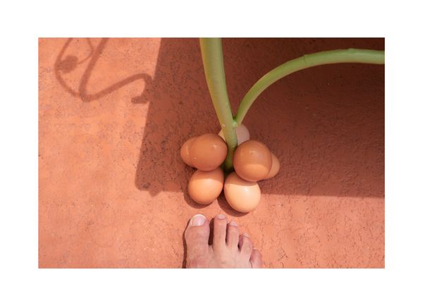 © Daniela Groza - Image from the JOYYY photography project