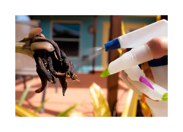 © Daniela Groza - Image from the JOYYY photography project