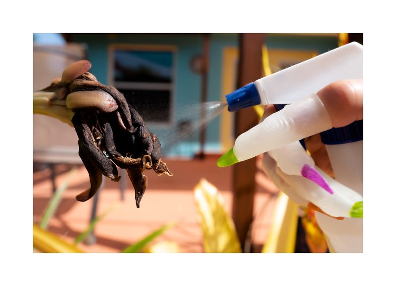 © Daniela Groza - Image from the JOYYY photography project