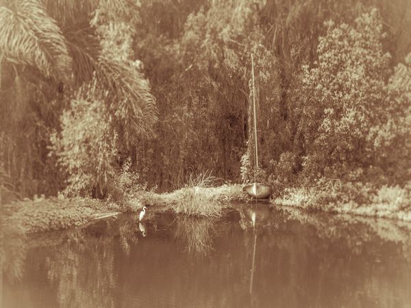 © Sharon Madden Harkness - Image from the Gracewood photography project