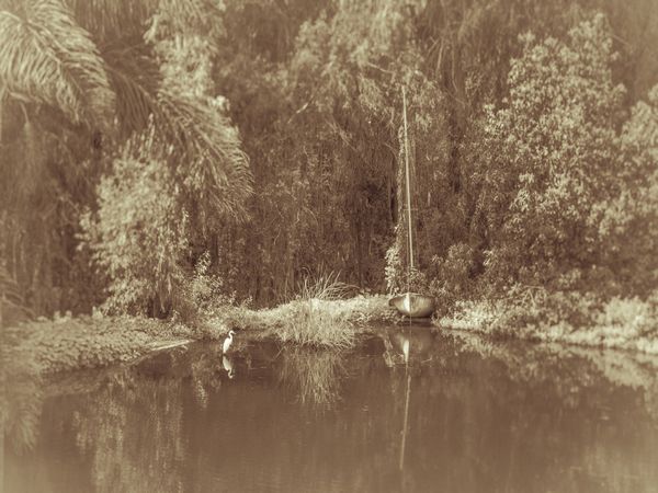 © Sharon Madden Harkness - Image from the Gracewood photography project