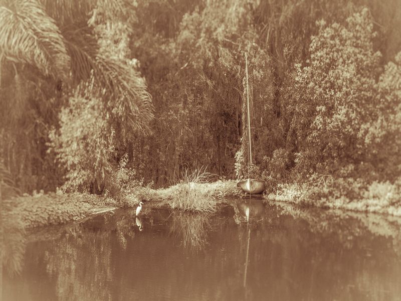 © Sharon Madden Harkness - Image from the Gracewood photography project