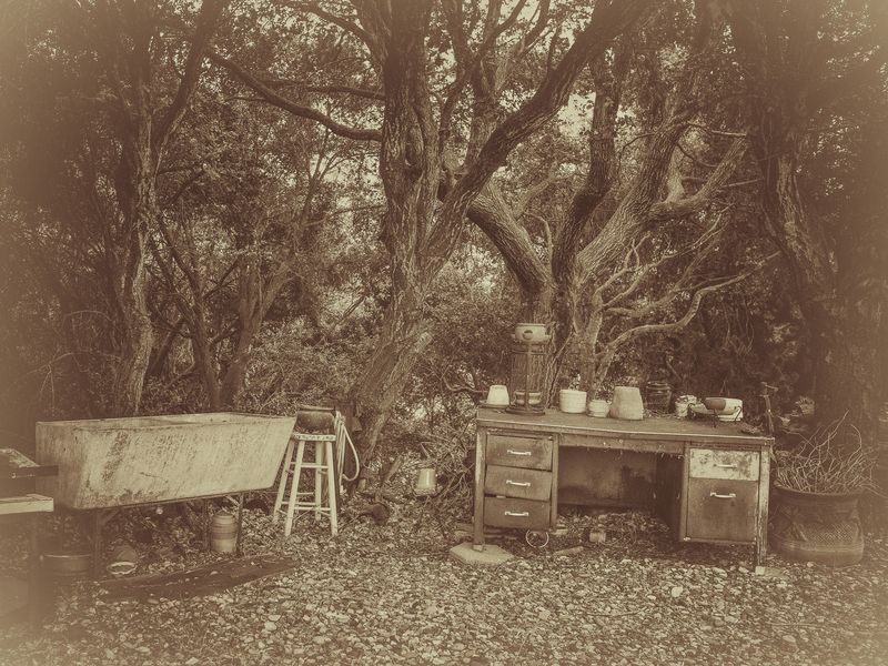 © Sharon Madden Harkness - Image from the Gracewood photography project