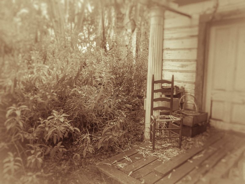 © Sharon Madden Harkness - Image from the Gracewood photography project