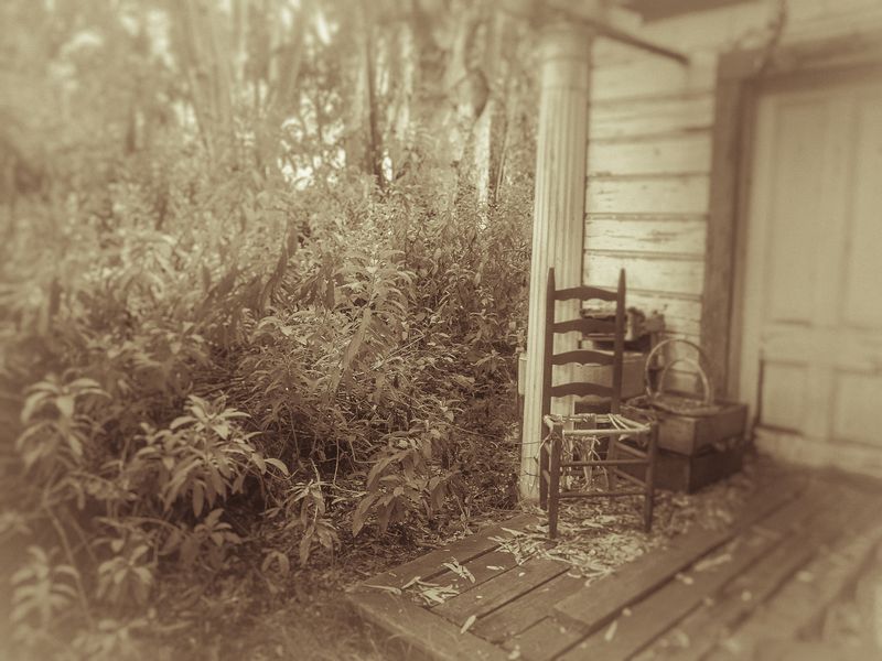 © Sharon Madden Harkness - Image from the Gracewood photography project
