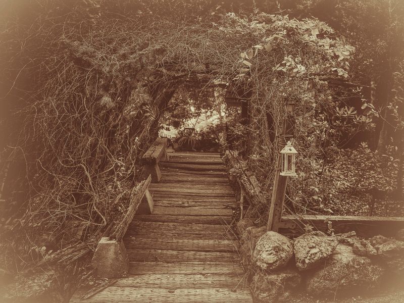 © Sharon Madden Harkness - Image from the Gracewood photography project