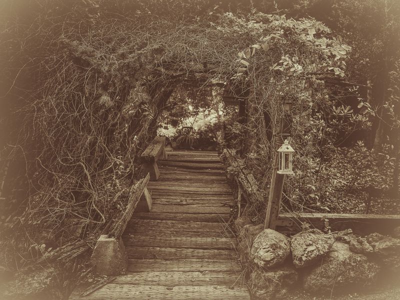 © Sharon Madden Harkness - Image from the Gracewood photography project