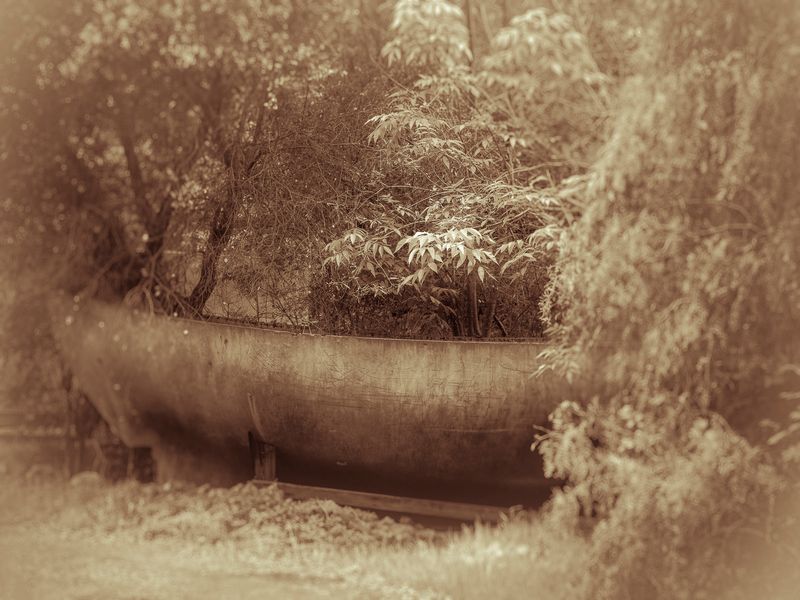 © Sharon Madden Harkness - Image from the Gracewood photography project