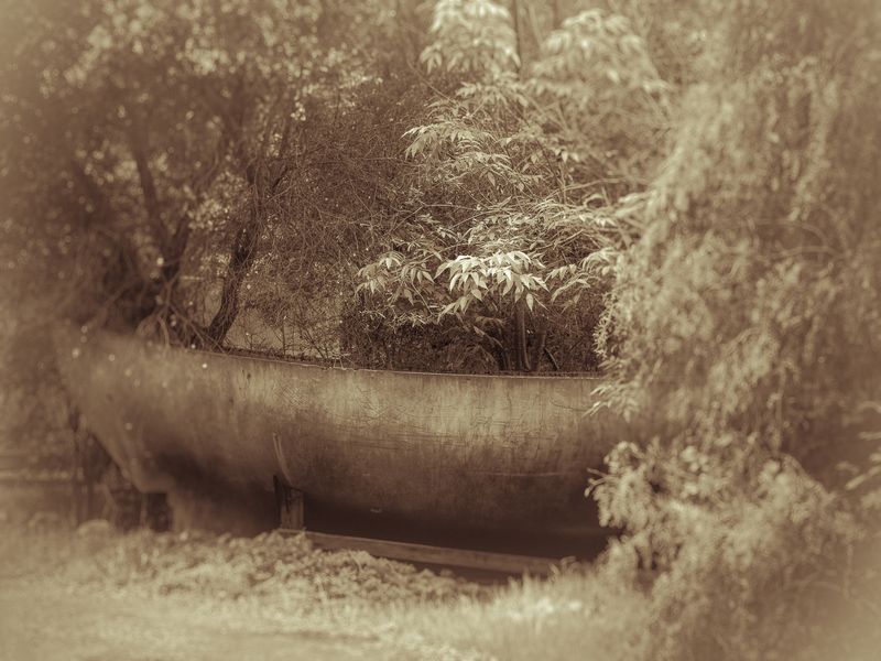 © Sharon Madden Harkness - Image from the Gracewood photography project