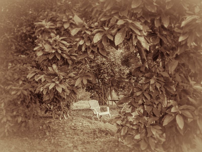 © Sharon Madden Harkness - Image from the Gracewood photography project