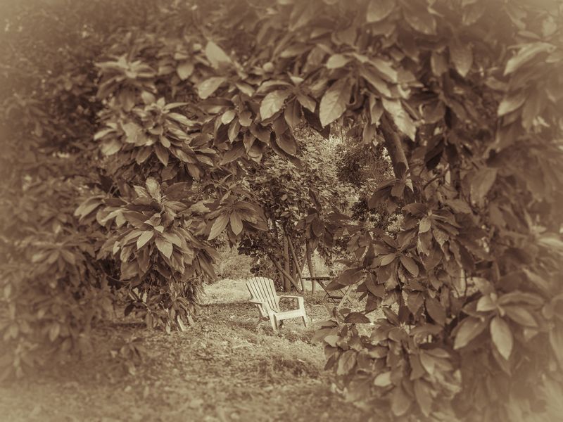 © Sharon Madden Harkness - Image from the Gracewood photography project