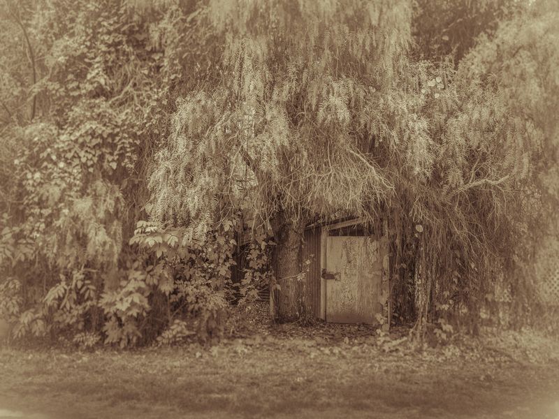 © Sharon Madden Harkness - Image from the Gracewood photography project
