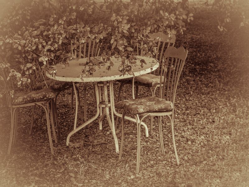 © Sharon Madden Harkness - Image from the Gracewood photography project