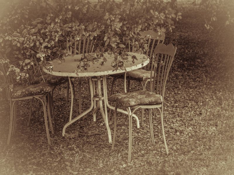 © Sharon Madden Harkness - Image from the Gracewood photography project