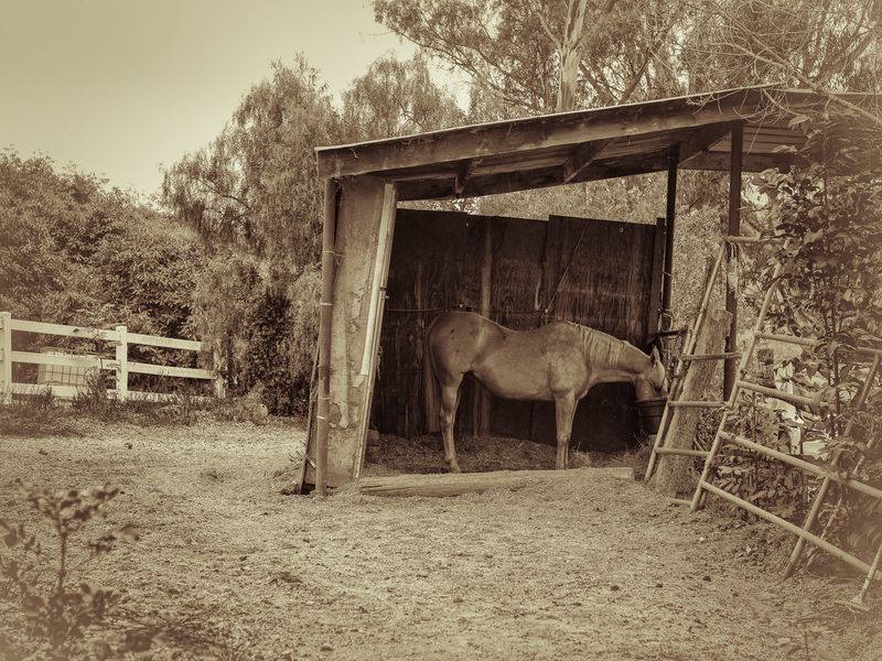 © Sharon Madden Harkness - Image from the Gracewood photography project