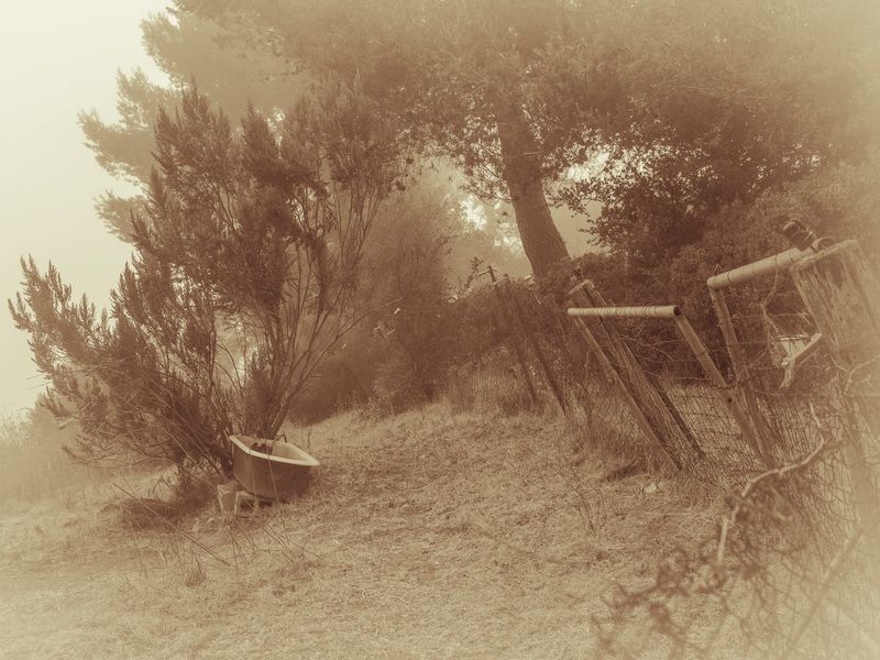 © Sharon Madden Harkness - Image from the Gracewood photography project