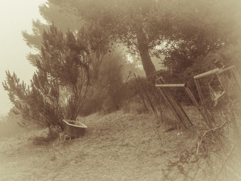 © Sharon Madden Harkness - Image from the Gracewood photography project