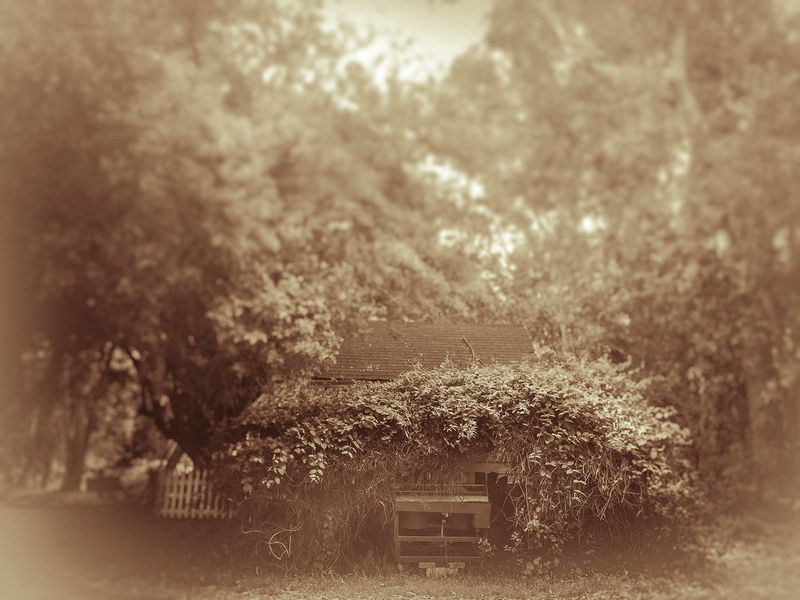 © Sharon Madden Harkness - Image from the Gracewood photography project