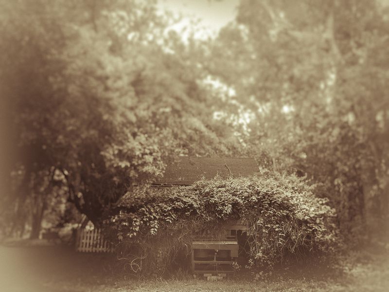 © Sharon Madden Harkness - Image from the Gracewood photography project