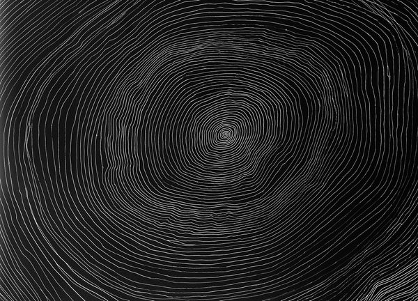 © yvette monahan - Image from the This Unending Story photography project