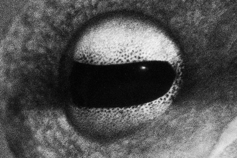 © yvette monahan - Image from the This Unending Story photography project