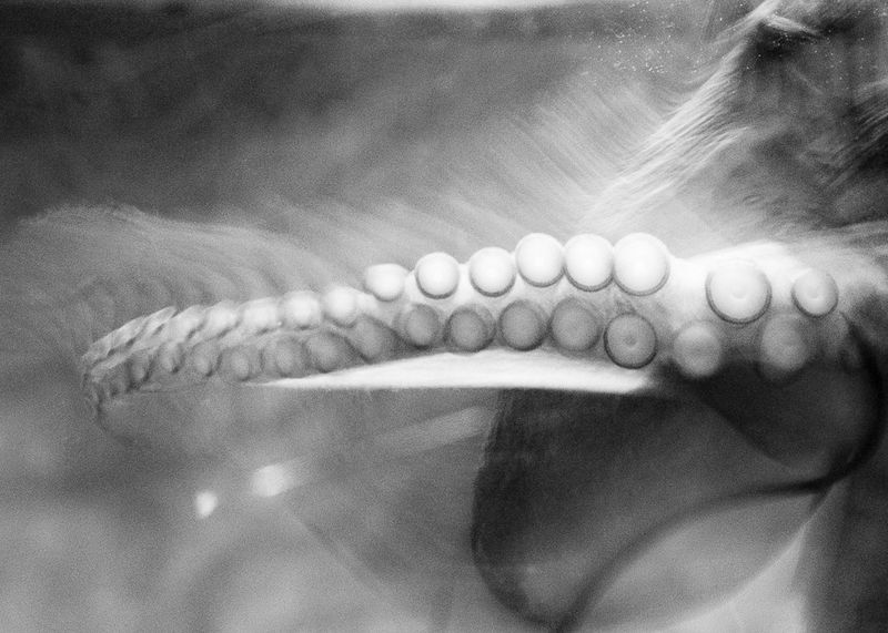 © yvette monahan - Image from the This Unending Story photography project