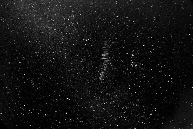 © yvette monahan - Image from the This Unending Story photography project