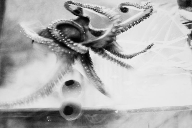 © yvette monahan - Image from the This Unending Story photography project