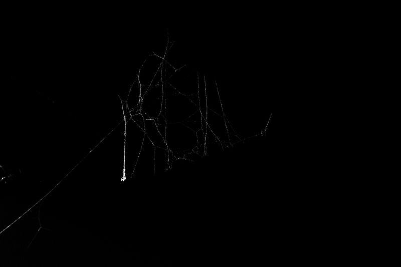 © yvette monahan - Image from the This Unending Story photography project