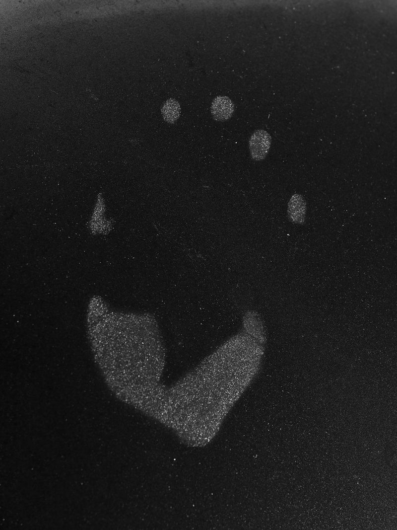 © Taylor Galloway - until that moon comes shinin' through, 2023