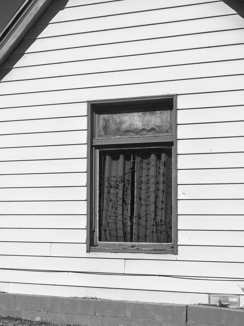 © Taylor Galloway - Judy’s window, 2023