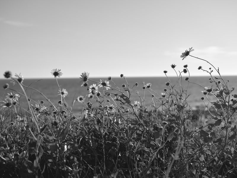 © Taylor Galloway - last light on Rt. 1, 2023