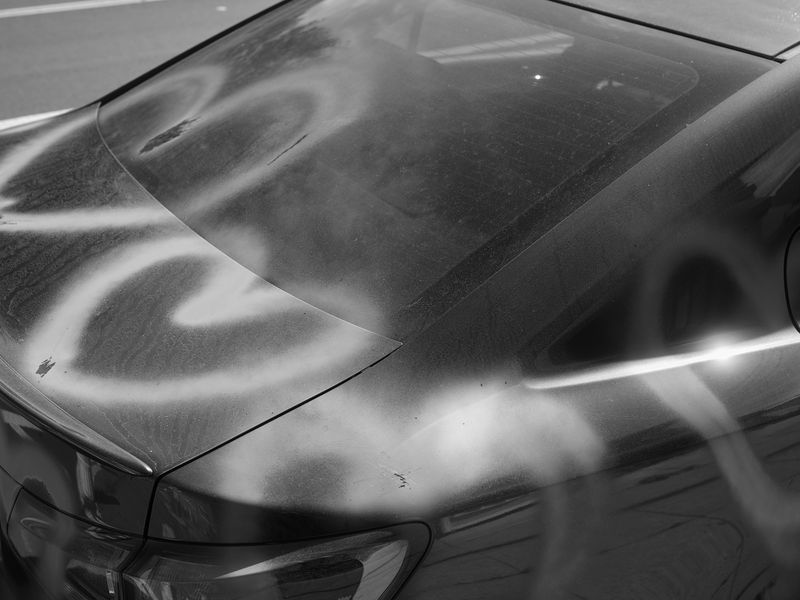 © Taylor Galloway - a year now on, 2022