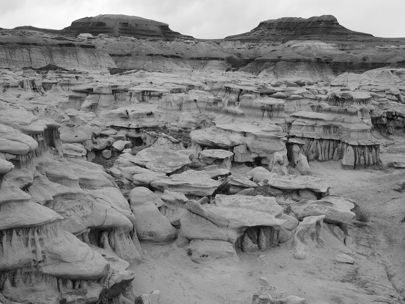 © Taylor Galloway - Bisti, for Kylie, 2023