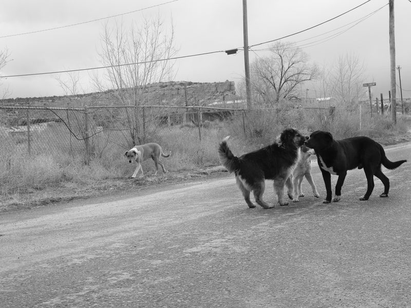 © Taylor Galloway - Coal Canyon Road, 2023