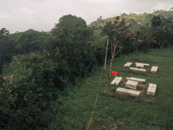 © Gema Ganeswara - Image from the I Dont Know Anything About My Place photography project