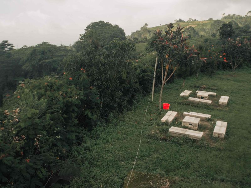 © Gema Ganeswara - Image from the I Dont Know Anything About My Place photography project