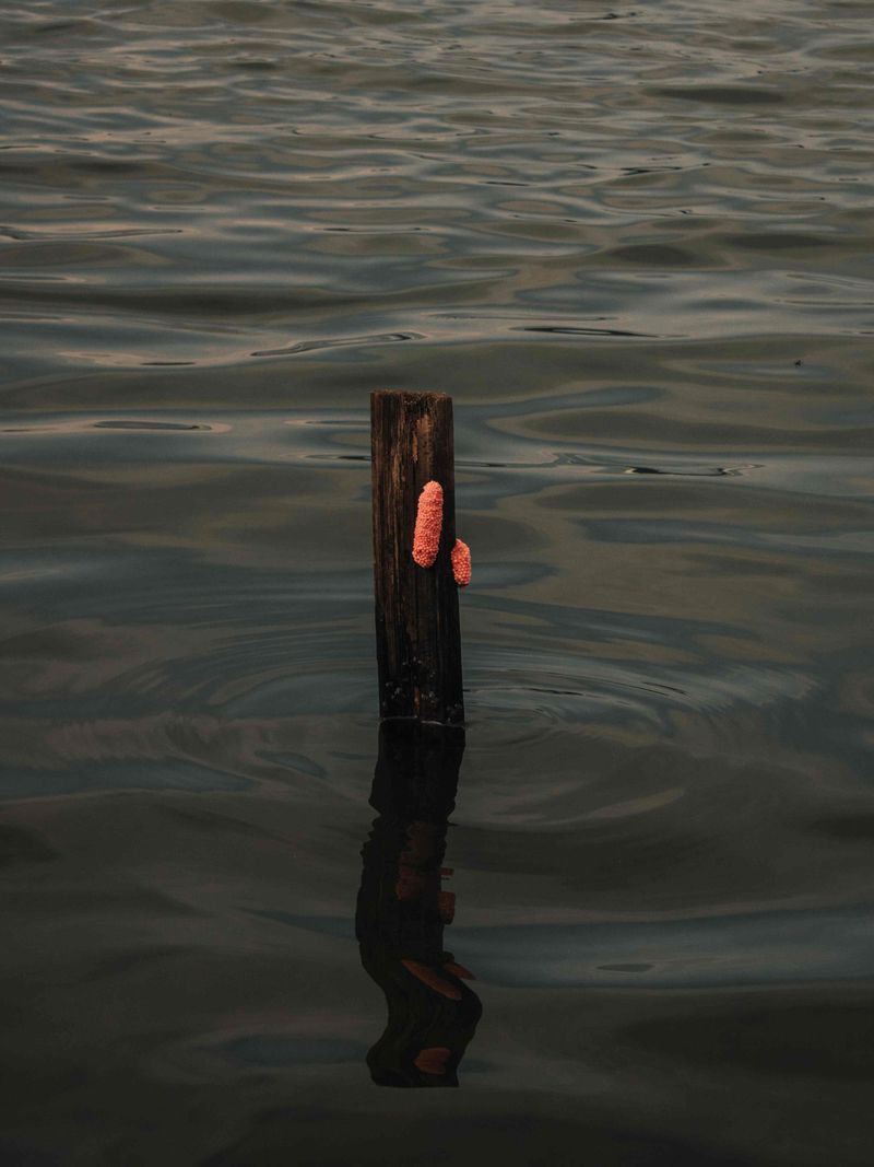 © Gema Ganeswara - Image from the I Dont Know Anything About My Place photography project