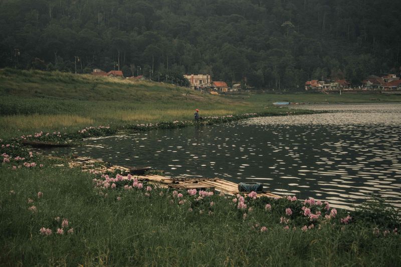 © Gema Ganeswara - Image from the I Dont Know Anything About My Place photography project