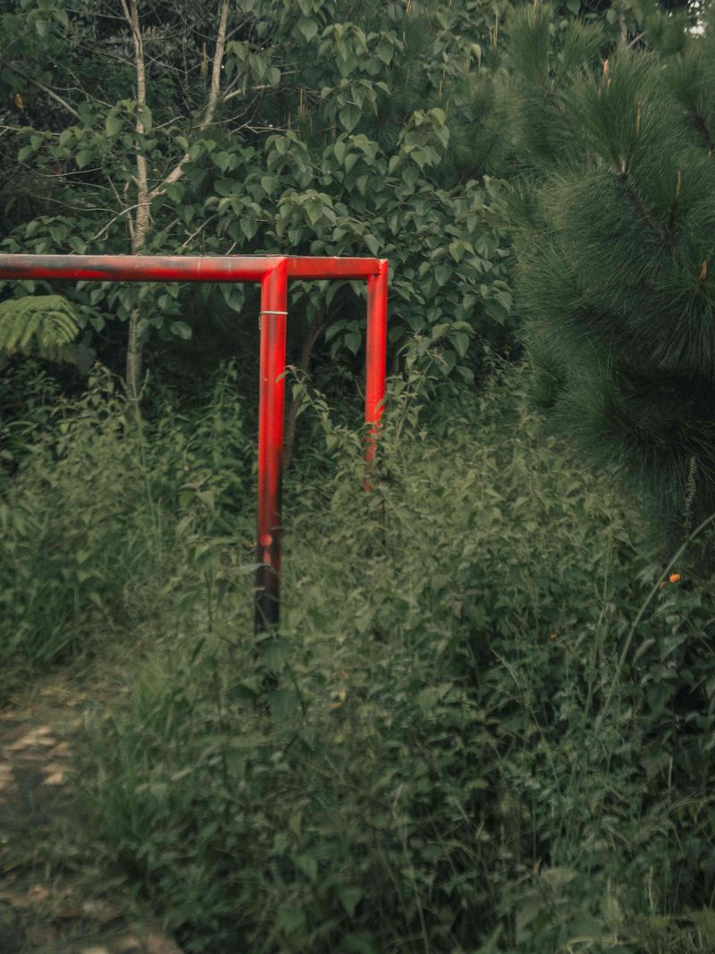 © Gema Ganeswara - Image from the I Dont Know Anything About My Place photography project