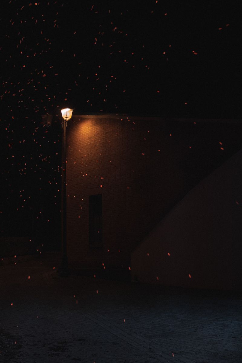 © Chiara Ventola - Sicignano degli Alburni, December 2022.