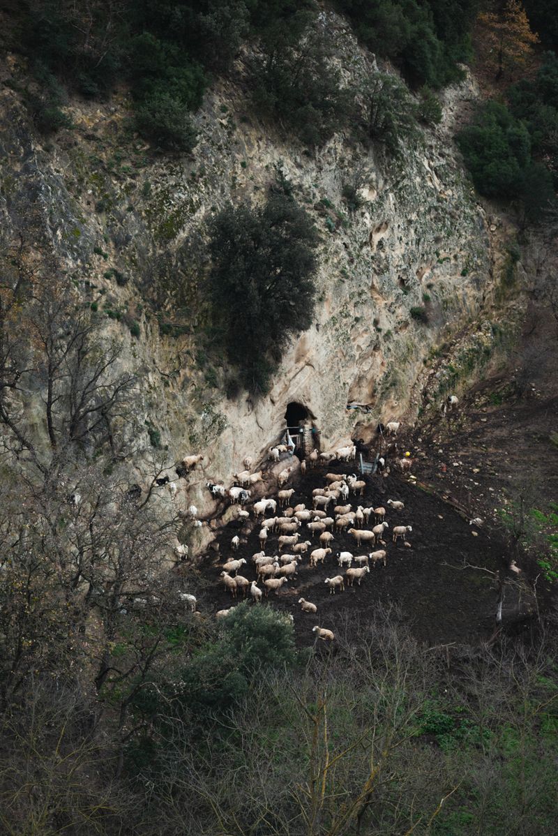 © Chiara Ventola - Garaguso, January 2023.